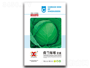 ���m�G��-���{�N��-���зN�I