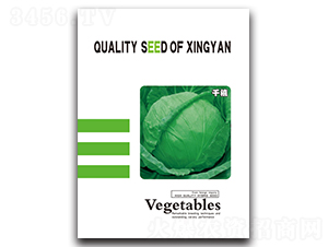 ǧ��-���{�N��-���зN�I