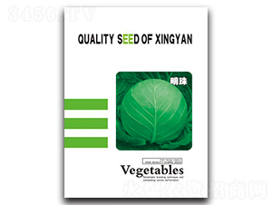 ����-���{�N��-���зN�I