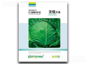 ����-���{�N��-���зN�I