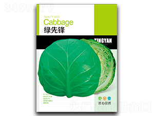 �G���h-���{�N��-���зN�I