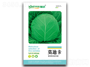 Ī�Ͽ�-���{�N��-���зN�I