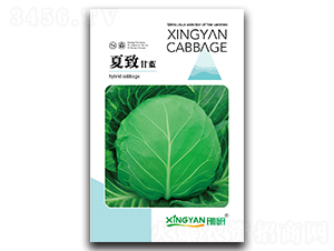 ����-���{�N��-���зN�I