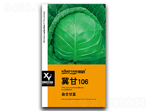 ����106-���{�N��-���зN�I