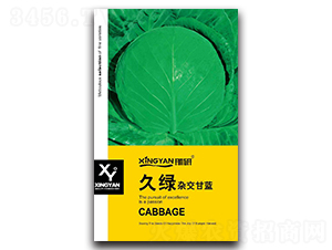 �þG-���{�N��-���зN�I