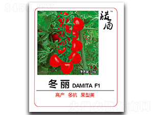 冬麗（紅果櫻桃番茄）-番茄種子-徽大農業