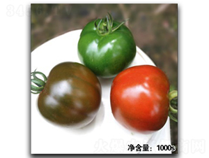 諾盾12044-番茄種子-徽大農業