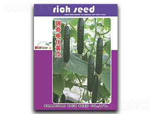 �����ꃞ�S��-�S�ϷN��-����N�I