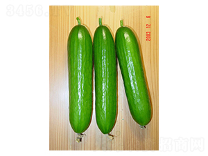 ؐ˼��-�S�ϷN��-����N�I