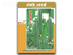 �����S��-�S�ϷN��-����N�I