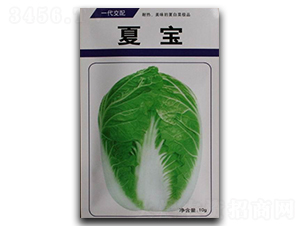 �Č�-�ײ˷N��-����N�I