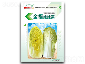 �����޲�-���޲˷N��-����N�I