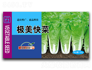 �O�����-�ײ˷N��-����N�I