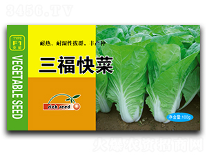 �������-�ײ˷N��-����N�I