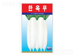 ����-�}���N��-����N�I