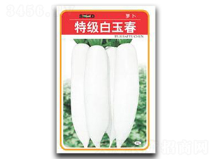 �ؼ�����-�}���N��-����N�I