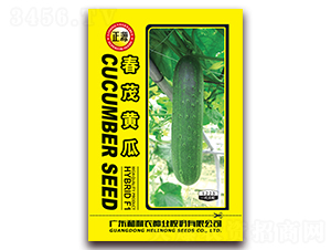 ��ï�S��-�S�ϷN��-�����r