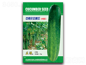 �����s���S�ϣ�129��-�S�ϷN��-�����r