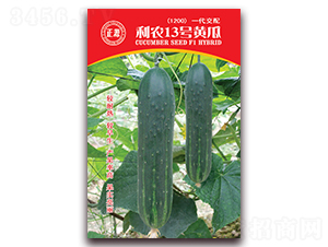 ���r13̖�S�ϣ�1200��-�S�ϷN��-�����r