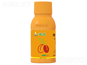 �n���{����-�������