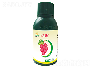 �t���{����-�������