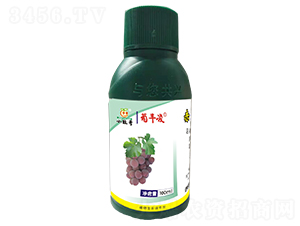 ���S���{����-�������