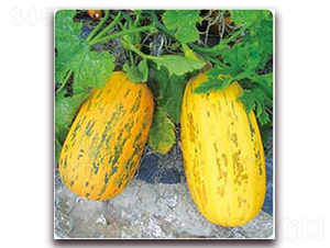 �S��599F1-���������J�N��-���i�N�I