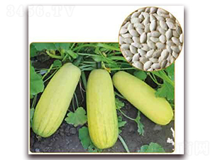 �S��698F1-���������J�N��-���i�N�I