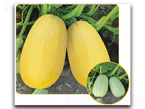 �S��950F1-���������J�N��-���i�N�I