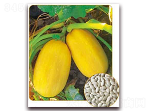 �S��P-09F1-���������J�N��-���i�N�I