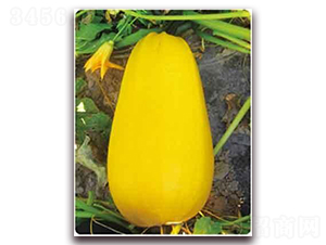 �S��P-10F1-���������J�N��-���i�N�I