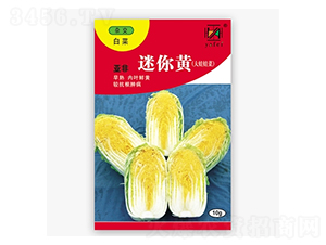 �����S-�ײ˷N��-����