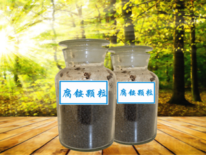 ���@�w��-�P��