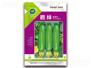 �̾G-���������J�N��-���i�N�I