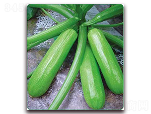 ����-���������J�N��-���i�N�I