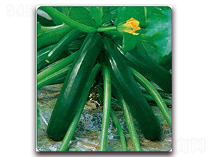 ī��-���������J�N��-���i�N�I