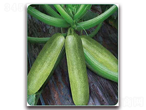 ����-���������J�N��-���i�N�I