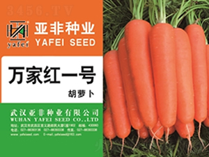 �f�Ҽtһ̖-���}���N��-����