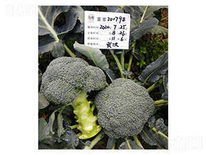 ���m��20179-���m���N��-����