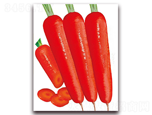 ����һ̖-���}���N��-�|������