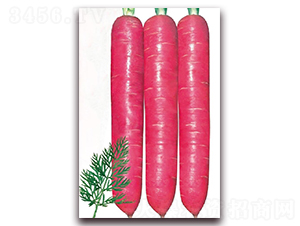 �ϼt��һ̖-���}���N��-�|������