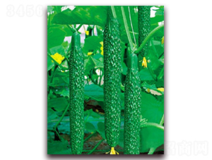 ����166-�S�ϷN��-�|������