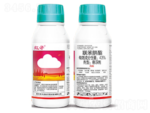 43%�������Ҹ���-�tì-�ƴ�߿�