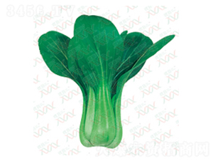 ��PK-14031-��˷N��-΢�ȷN�I(y��)