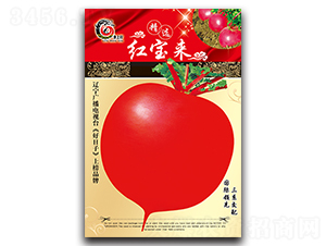 �t����-�}���N��-���ѩ��