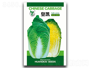 �ʄP-�ײ˷N��-���ѩ��