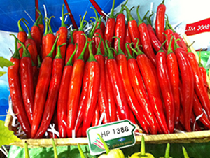 ����-�����N��-����N��