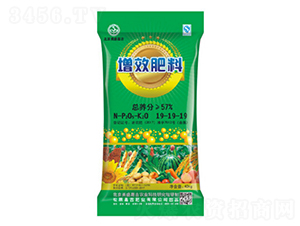 ��Ч����19-19-19-��ʢ�μ�