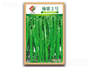 ����2̖-�����N��-�����N�I