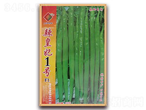 ������1̖F1-�����N��-�����N�I